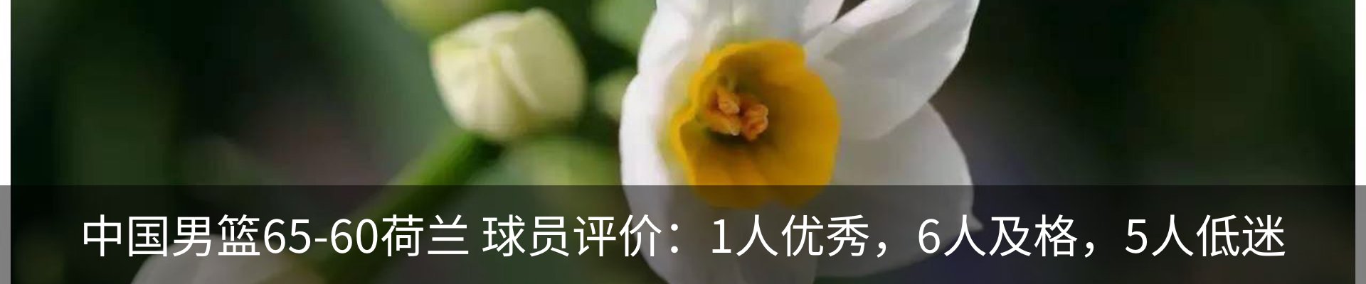 内页banner