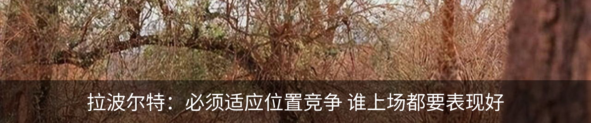 内页banner