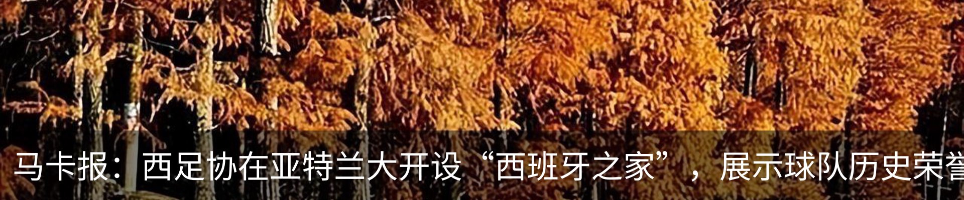 内页banner